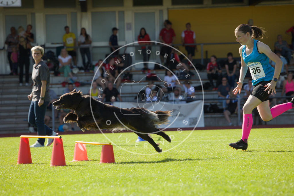 0L8A8556 | Hundefotografie, Tierfotograf, Pfotenfotografie, Fotoshooting Hund, Hunde Portrait, Hundesport, Hundeportraits, Heideshooting, Hunde, Sportfotograf, Hundefotograf, Turnierhundsport, THS,  - Realisiert mit Pictrs.com
