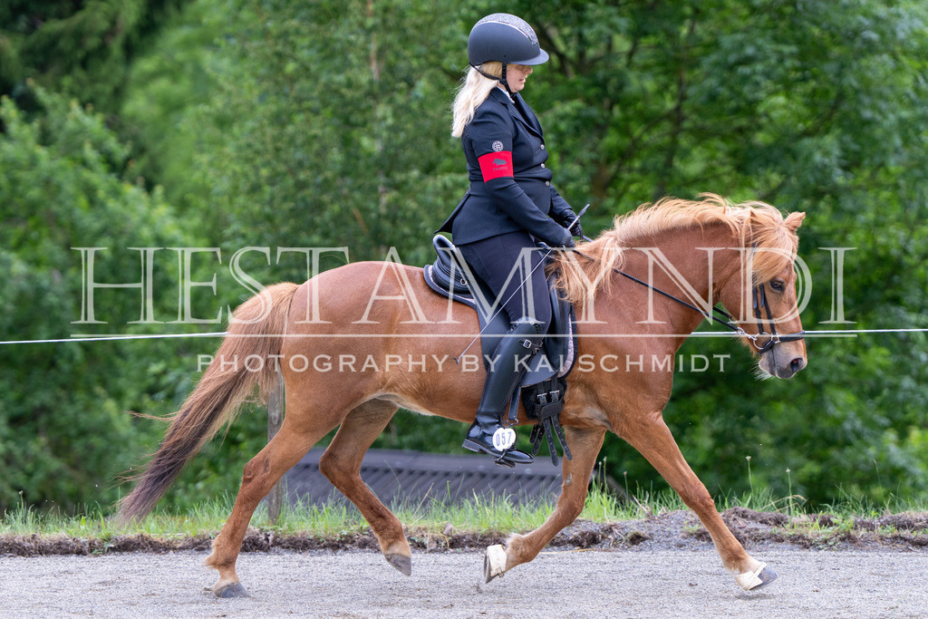 KAI00384 | Ihr sucht einen Fotografen für eure nächste OSI? Ich begleite auch euer Turnier für Islandpferde fotografisch.  - Realisiert mit Pictrs.com