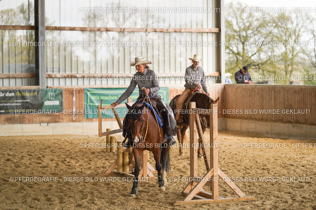 DSC02085 | Pferdegrafie