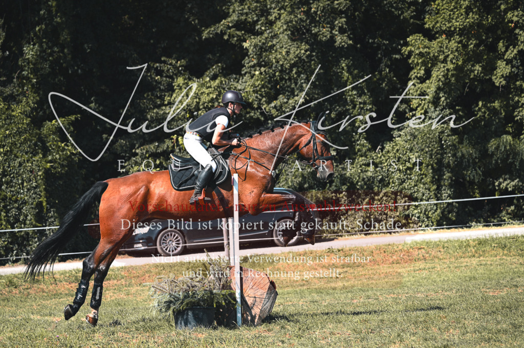 DSC_8330 | Pferde- und Turnierfotografie in Westsachsen. Pferdeportraits, Auftragszeichnungen und intuitive Kunst.