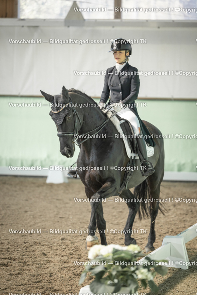 _D5A1664 | Emotionale Pferde- & People-Fotografie rund um Heidelberg, Leimen & Umgebung. Natürliche Fotos von Pferd, Mensch & Familie. Jetzt Termin sichern!