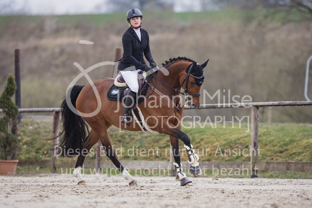 230408_Frühlingsfest_Stil-A2_LK3-4-731 | Deine schönsten Turniermomente als professionelle Fotos! Entdecke hochwertige Pferdesport-Fotografie im Online-Shop. Jetzt Fotos finden & bestellen!