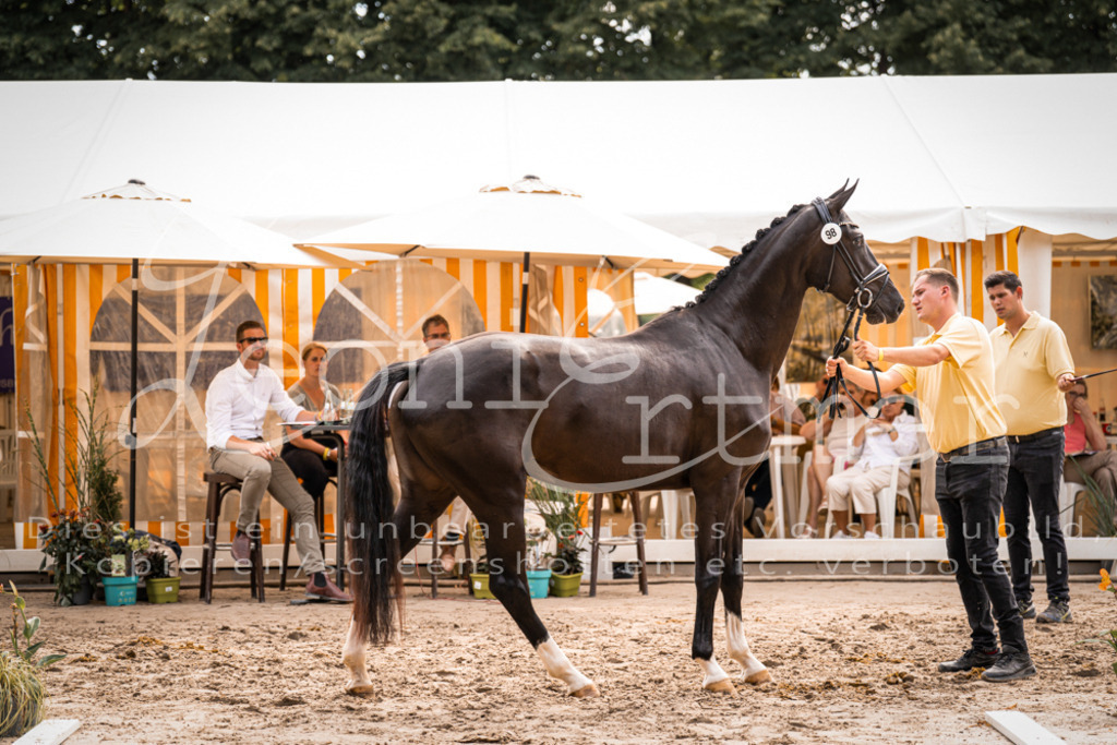 7.Fr00084 | Leoni Ertmer Photography - Realisiert mit Pictrs.com