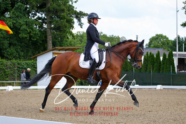 DKP41624 | Turnierfotos kaufen im Webshop von Daniel Kuhl Photography – entdecke professionelle Reitsportfotos aus Turnieren & Events. Hochwertige Turnierbilder online bestellen & sichern. Jetzt Fotos von Reitsportturnieren kaufen!