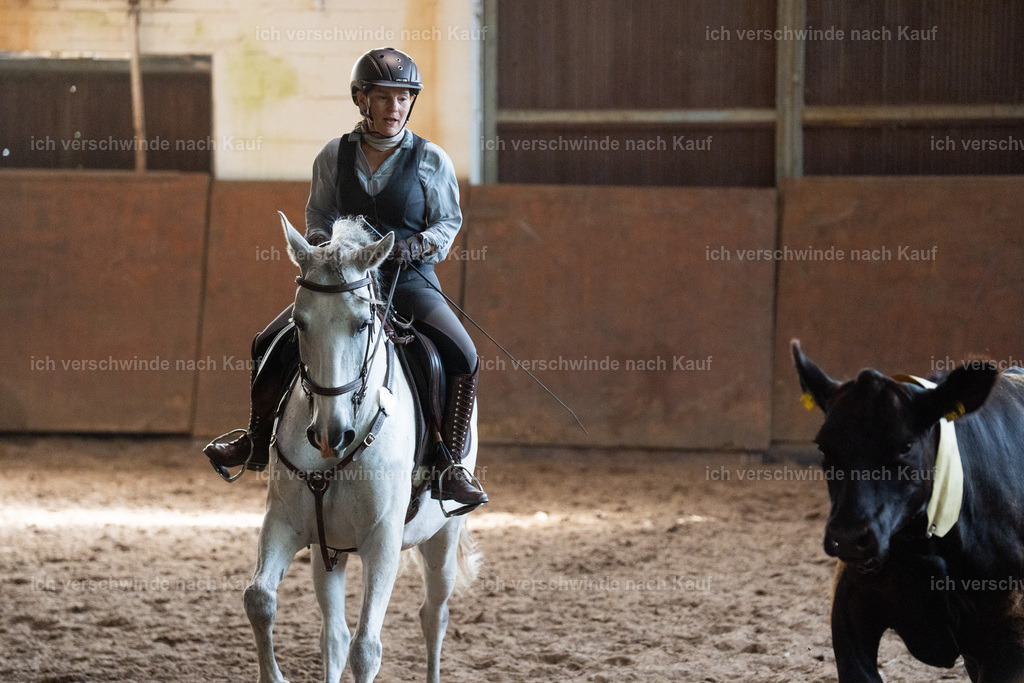 WL_COW_70_SinaFilmArt_IN04038 | working equitationturnier fotograf videograf stoibphotography marixx film working equitation deutschland reitsport turnierfotografie eventfotografie equestrian events