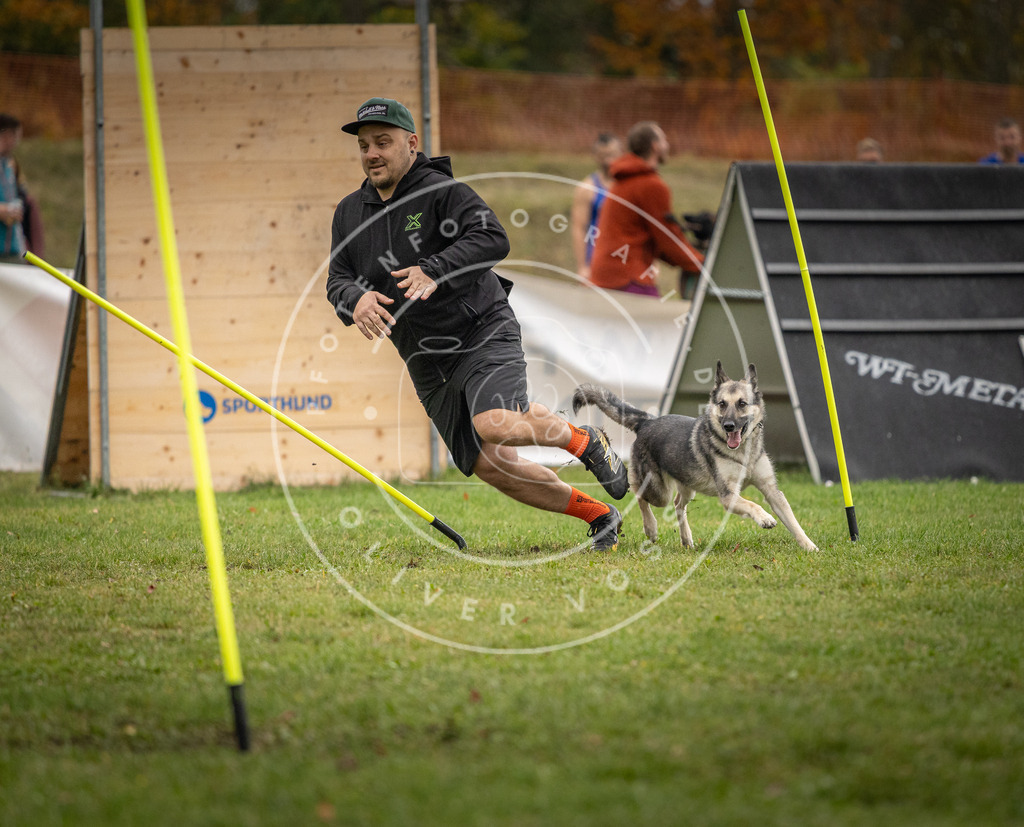 Pfotenfotografie_DV3A9606 | Hundefotografie, Tierfotograf, Pfotenfotografie, Fotoshooting Hund, Hunde Portrait, Hundesport, Hundeportraits, Heideshooting, Hunde, Sportfotograf, Hundefotograf, Turnierhundsport, THS,  - Realisiert mit Pictrs.com