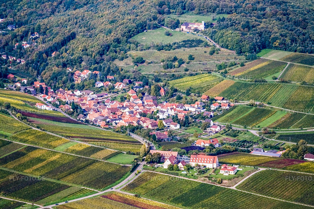 Luftbild: Winzerdorf am Rand des Pfälzerwalds von Südosten in Leinsweiler im Bundesland Rheinland-Pfalz in Deutschland. Foto: IMG_4373.jpg vom 22.10.2006 durch Werner Riehm/FLY-FOTO.de