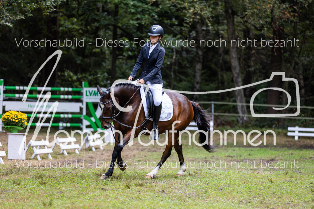 HB-Dressur-WB-020 | MomenTaufnahmen Pferdesportfotos