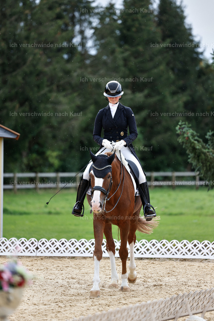 11-201-Dressur S___-StoibPH-963 | working equitationturnier fotograf videograf stoibphotography marixx film working equitation deutschland reitsport turnierfotografie eventfotografie equestrian events
