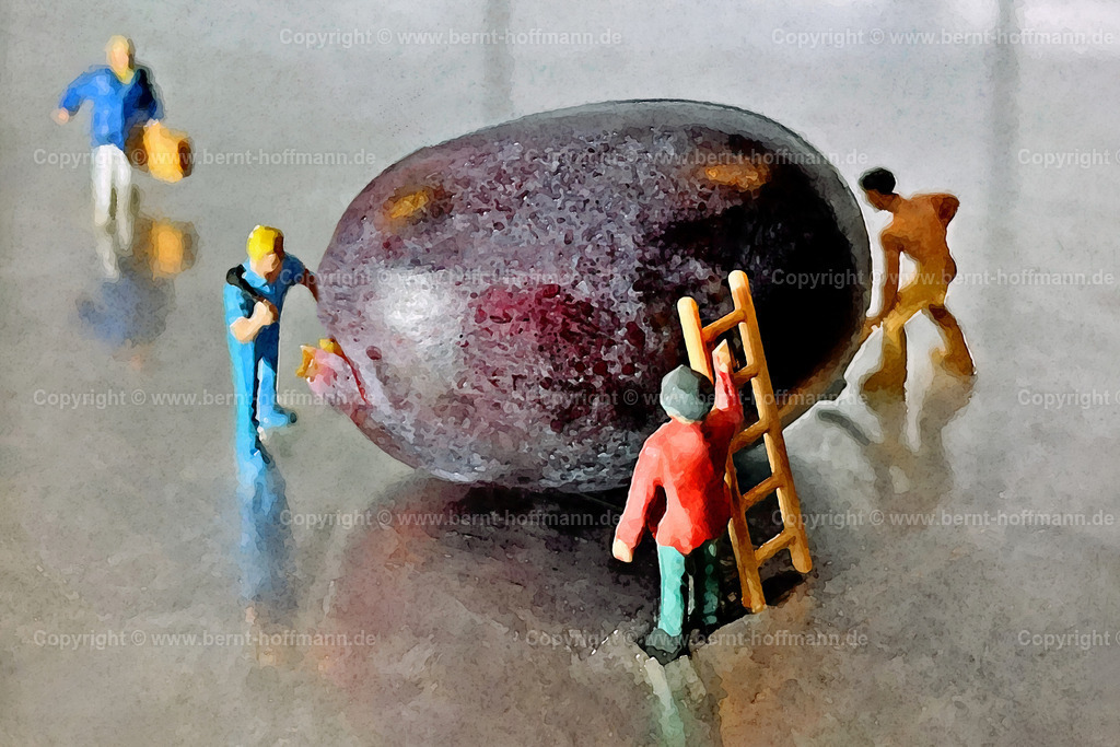 PDM2-TT_1662_Traube-01_120x80 | DIGITALKUNST. __ «Kleine Welt» ... Genfood? -3- __ Dunkle Weintraube liegt auf der Edelstahl-Arbeitsplatte einer Küche. __ Menschen nachempfundene Figuren der «H0-Grösse» aus dem Bereich einer Modelleisenbahn arbeiten scheinbar an dieser Frucht. Die überdimensionale Grösse der Traube verweist dabei augenzwinkernd auf die Kritik an «Genfood» - also genetisch veränderter Lebensmittel.  - Realisiert mit Pictrs.com