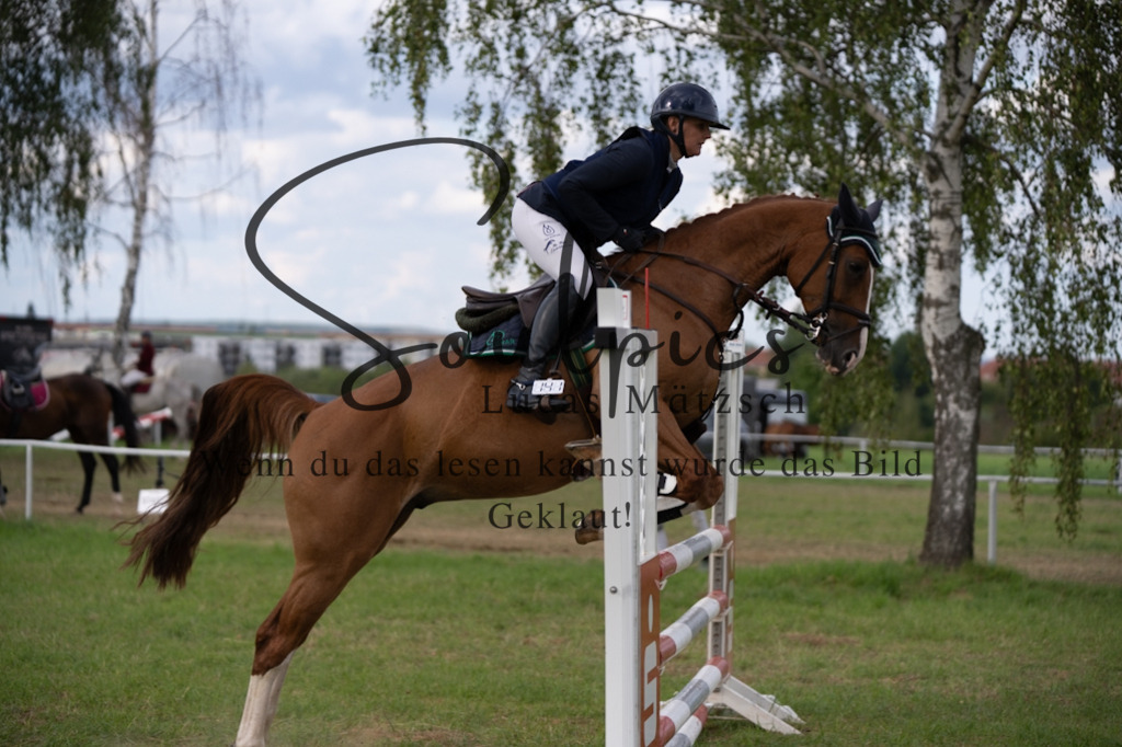 A7V04916 | Turnier/Reitfotograf