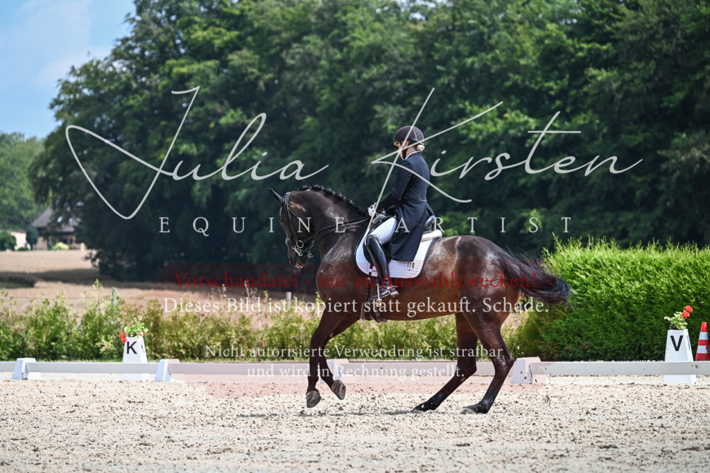 DSC_2611 | Pferde- und Turnierfotografie in Westsachsen. Pferdeportraits, Auftragszeichnungen und intuitive Kunst.