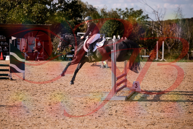 2026_10_03_Siefer-Hof_154922_Z81_68090875 | Professionelle Reitsport-, Turnier- und Eventfotografie von Robert Broda. Galerien mit ausgewählten und bearbeiteten Bildern direkt online ansehen und bestellen.