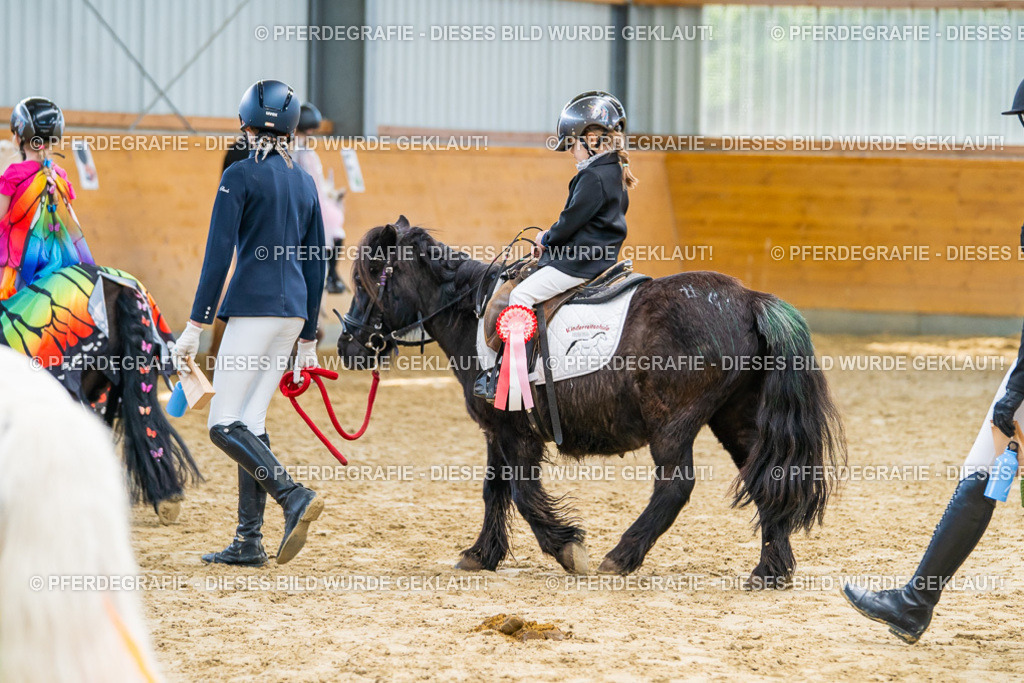 DSC00855 | Pferdegrafie