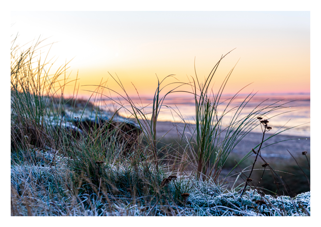 Motiv 79 | Eilun-Art-Fotografie Levke Martens, ihre Fotografin für Immobilien- und Landschaftsfotografie auf Föhr, Föhrer Motive als Poster, Leinwand, hinter Acrylglas oder stelle dir deinen eigenen Monatskalender zusammen, mit nur einem Klick