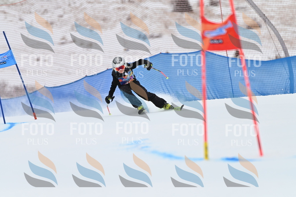 BGV_9650 | holidayphoto