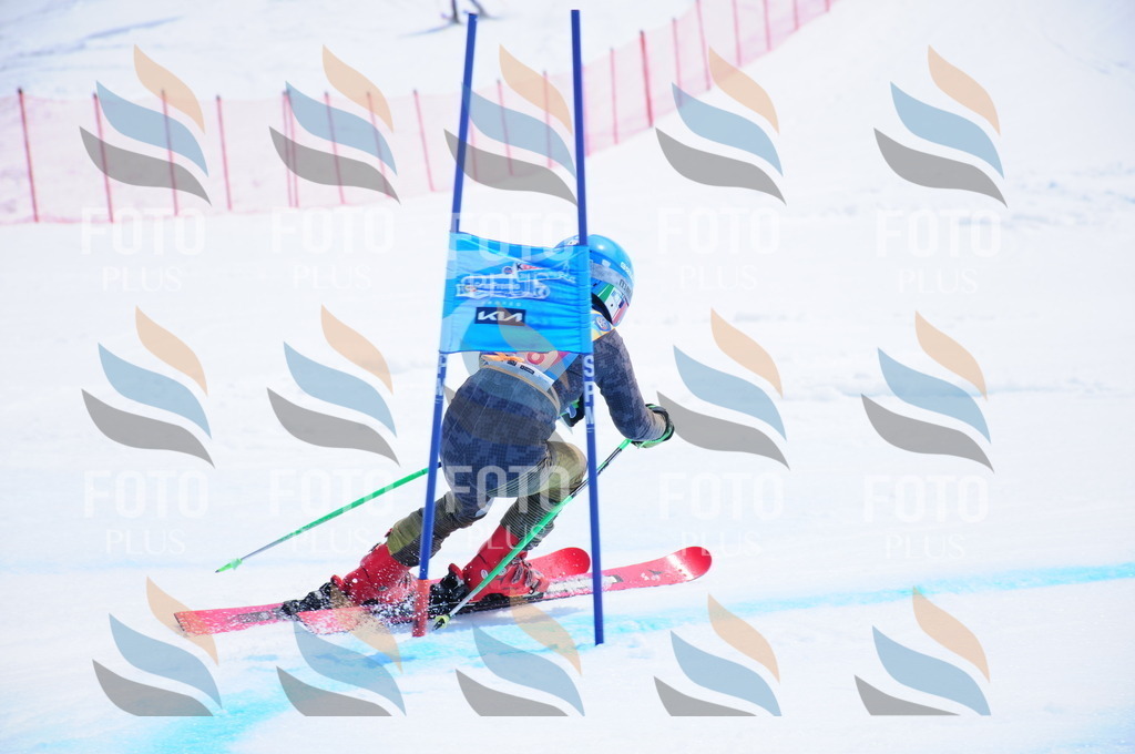 DSC_7373 | holidayphoto