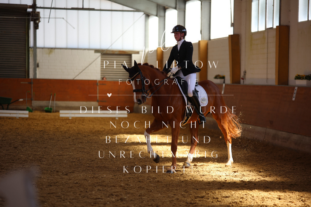 IMGT8319 | pl-fotografie