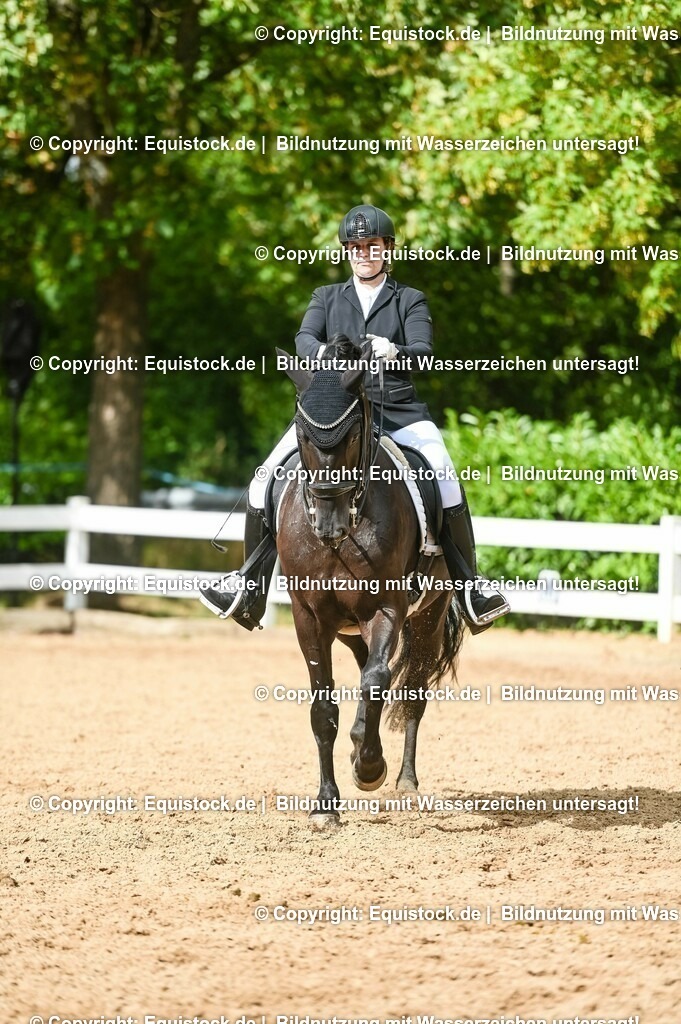 20230716_01_Dressurprüfung Kl.M_0574 | equistock
