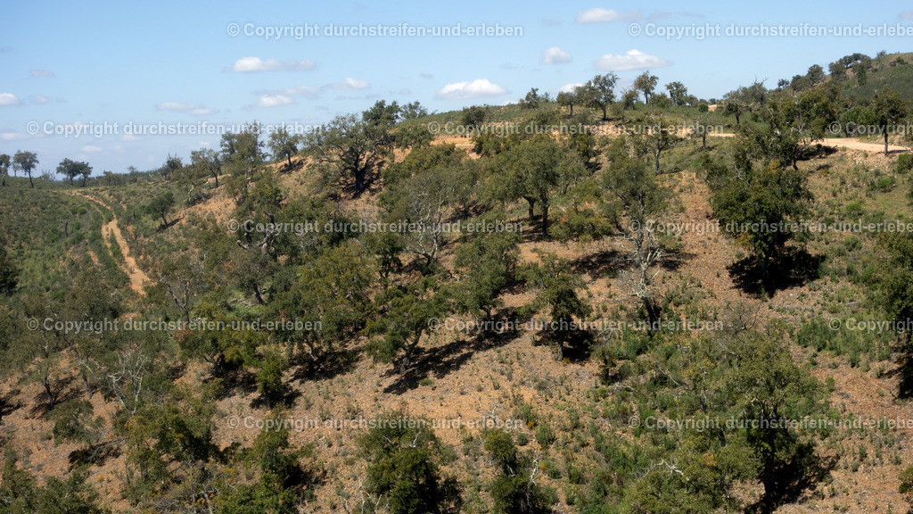 Blick in die Hügellandschaft der einsamen Serra do Caldeirão | Blick in die Hügellandschaft der einsamen Serra do Caldeirão, Algarve - Realisiert mit Pictrs.com