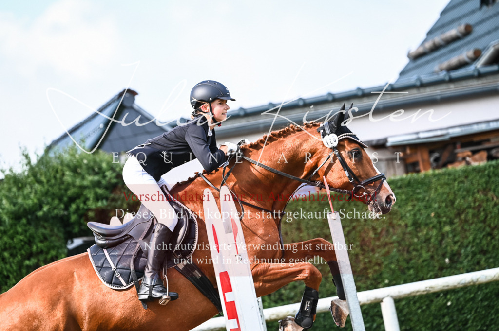 DSC_7966 | Pferde- und Turnierfotografie in Westsachsen. Pferdeportraits, Auftragszeichnungen und intuitive Kunst.