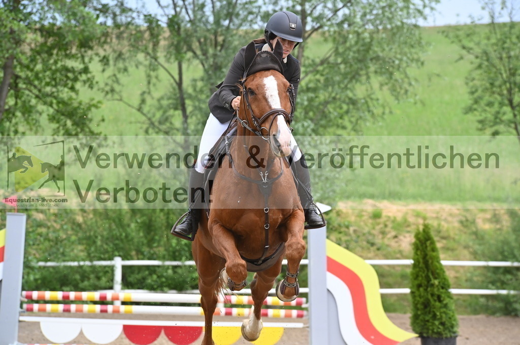 DSC_8025 | equestrian-live-com