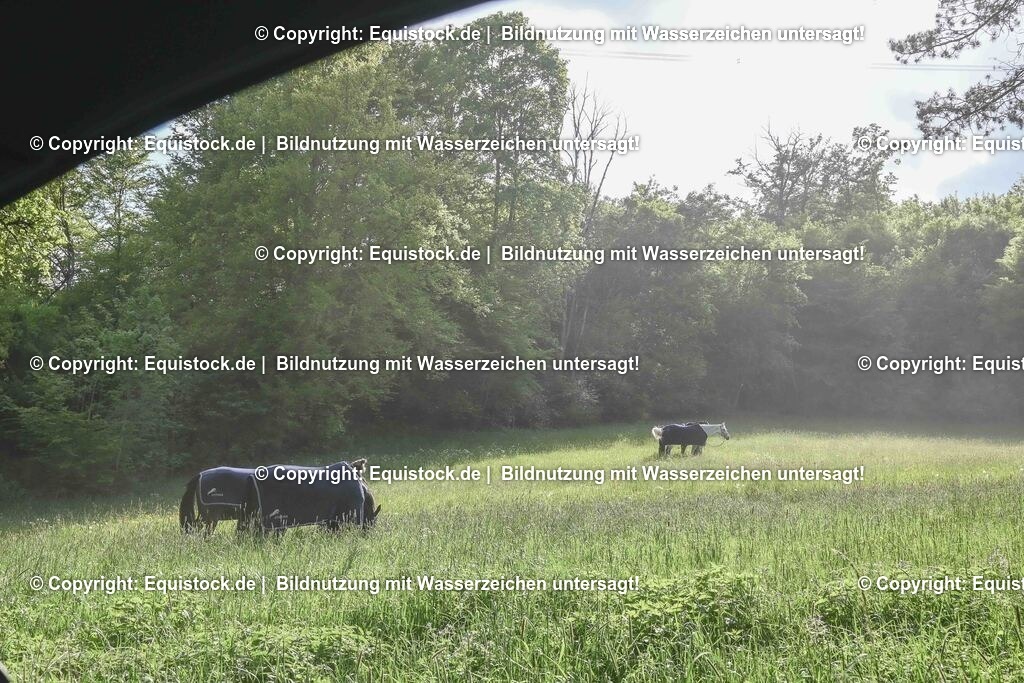 20250517_Impressionen_0094 | Foto: Thomas Hartig