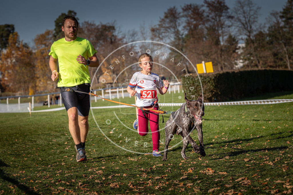 CaniXpix_0L8A7113 | Hundefotografie, Tierfotograf, Pfotenfotografie, Fotoshooting Hund, Hunde Portrait, Hundesport, Hundeportraits, Heideshooting, Hunde, Sportfotograf, Hundefotograf, Turnierhundsport, THS,  - Realisiert mit Pictrs.com
