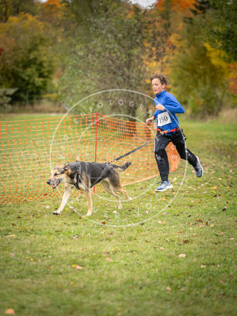 Pfotenfotografie_DV3A3591 | Hundefotografie, Tierfotograf, Pfotenfotografie, Fotoshooting Hund, Hunde Portrait, Hundesport, Hundeportraits, Heideshooting, Hunde, Sportfotograf, Hundefotograf, Turnierhundsport, THS,  - Realisiert mit Pictrs.com