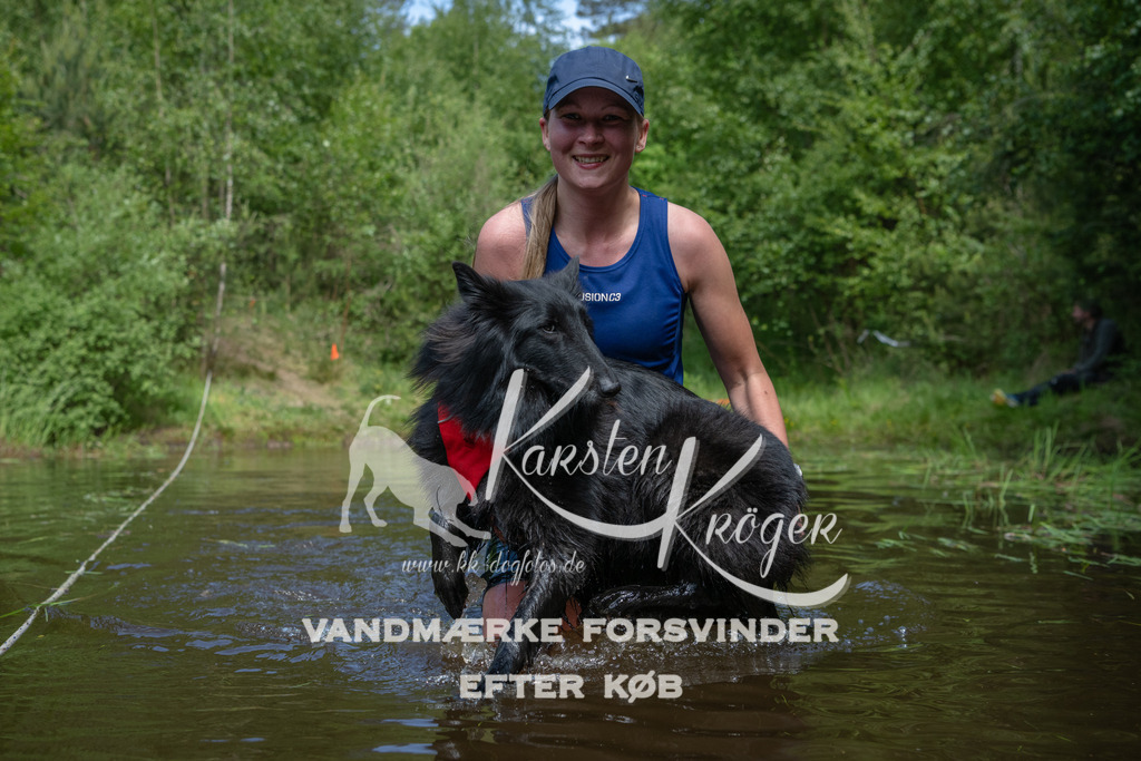 1135DKK990665 | kk-dogfotos
