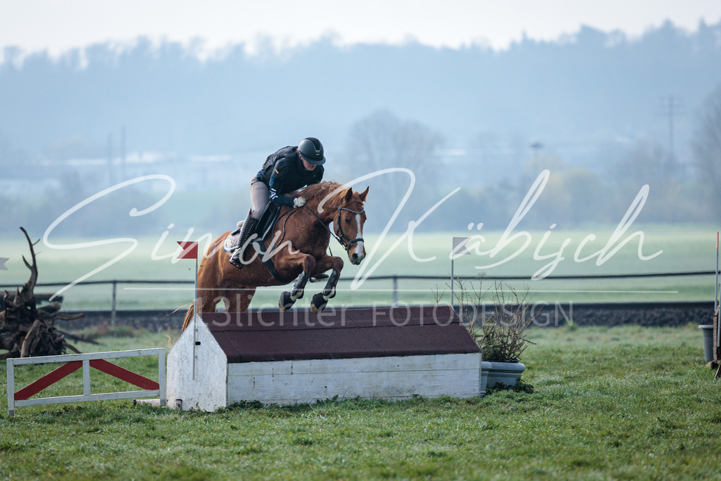 20260329-_3LI3413 | Tierfotografie Pferde, Hunde, Katzen, Haustiere.
Turnierfotografie Reitturniere, Reiten, Springreiten, Dressur in Hanau, dem Main-Kinzig-Kreis und dem Rhein-Main- Gebiet um Frankfurt