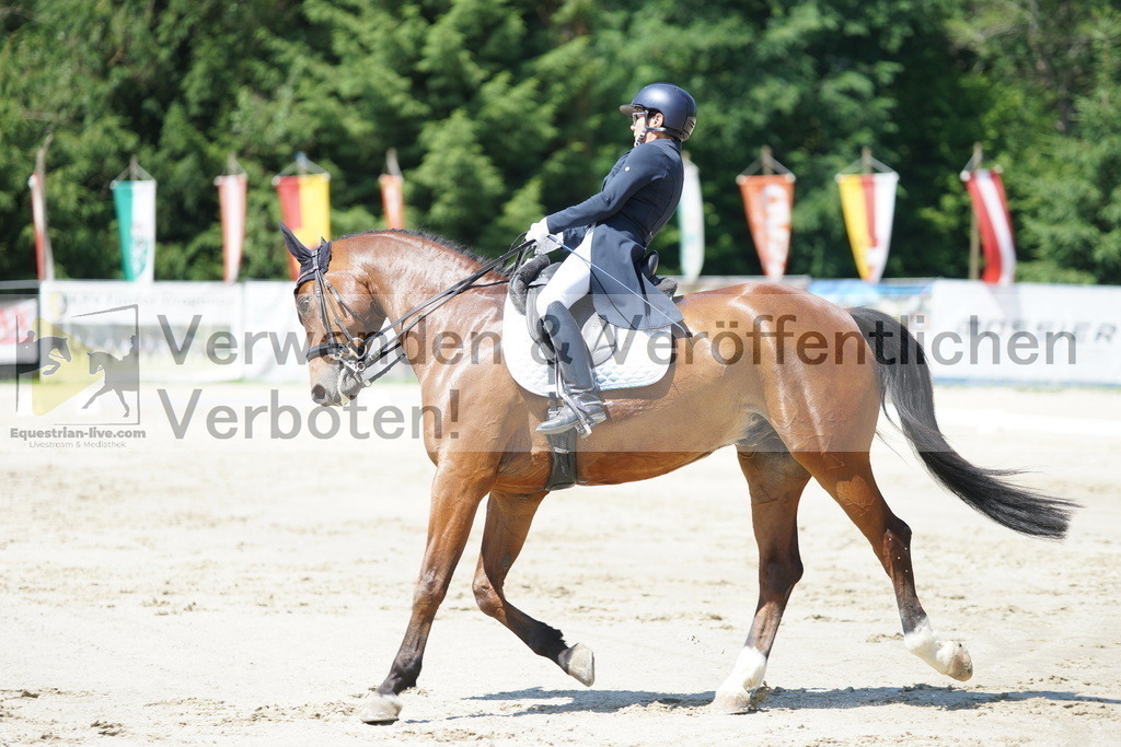 DSC03199 | equestrian-live-com