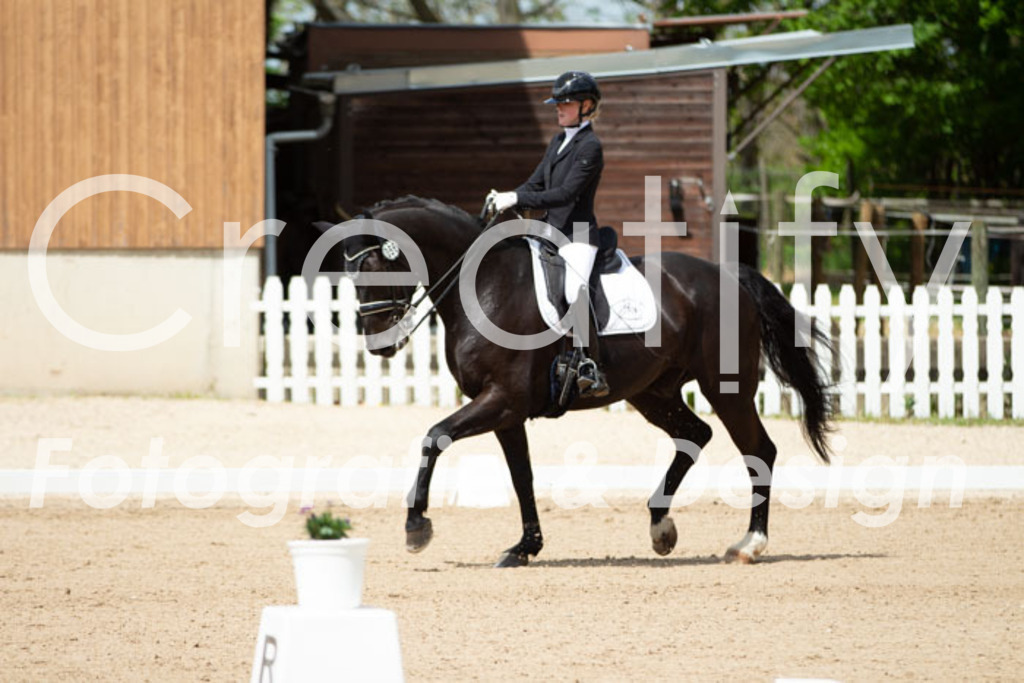 IMG_5867 | Creatify Fotografie