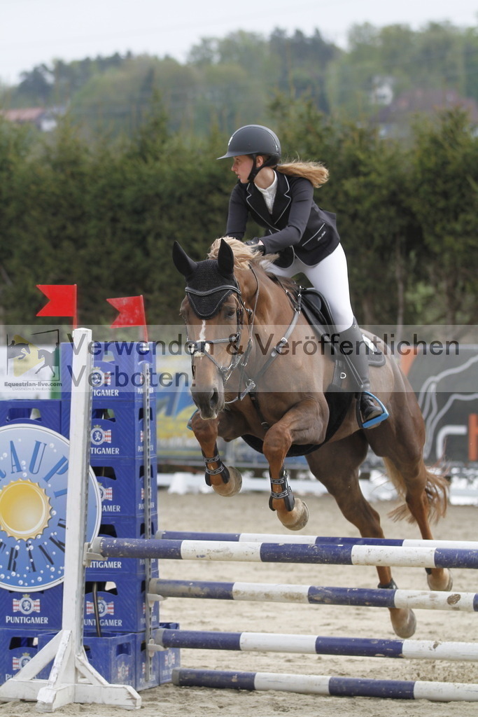 _MG_0463 | equestrian-live-com