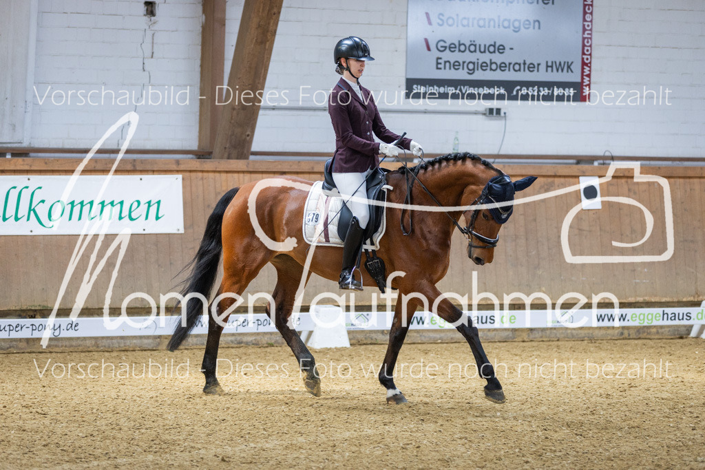 Sth-LPO25-A-Dr-073 | MomenTaufnahmen Pferdesportfotos