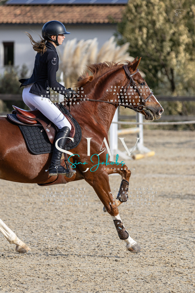 IMG_0417 | s-jay-photography - Realisiert mit Pictrs.com