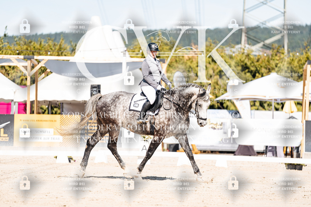 CK909083 | Turnierfotografie Pferdefotografie Trier Rheinland-Pfalz Pferdesport Reitsport Tierfotografie Sportfotografie Pferdevideo Pferdevideografie Equestrianvideography equestrianphotography  - Realisiert mit Pictrs.com