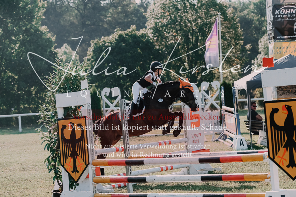 DSC_4474 | Pferde- und Turnierfotografie in Westsachsen. Pferdeportraits, Auftragszeichnungen und intuitive Kunst.