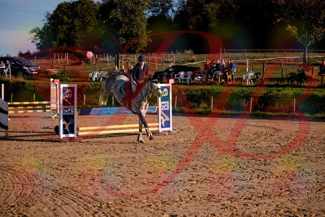 2026_10_03_Siefer-Hof_171433_Z81_12038342 | Professionelle Reitsport-, Turnier- und Eventfotografie von Robert Broda. Galerien mit ausgewählten und bearbeiteten Bildern direkt online ansehen und bestellen.