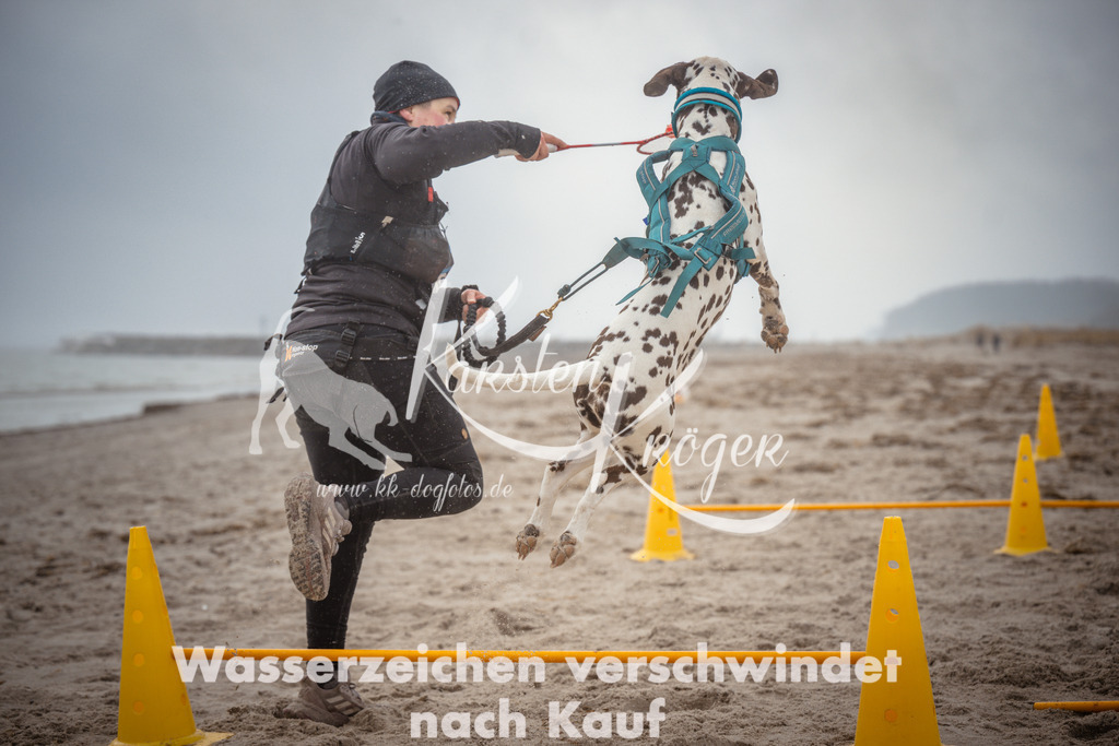 1114_ZZ97320 | kk-dogfotos
