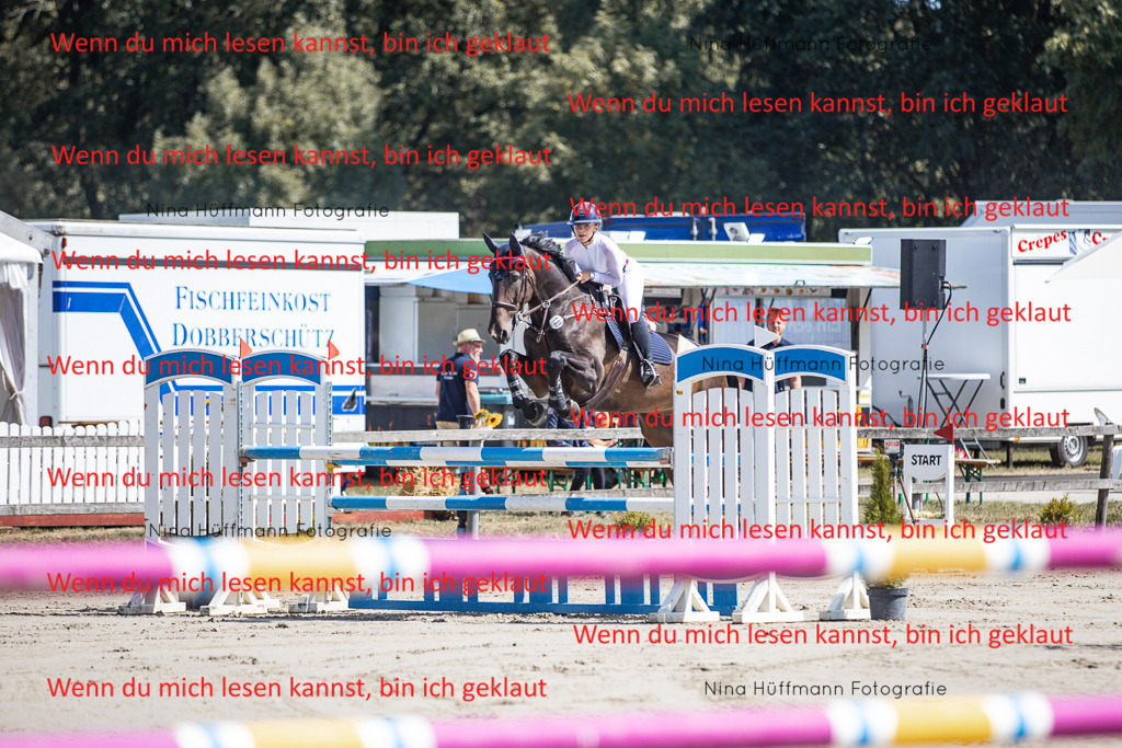 BK1A6555 | Turnierbilder Turnierfotos Nina Hüffmann Turnierfotografie Pferdefotografie Tierzeichnung Haustierzeichnung Pferdezeichnung Hundezeichnung Videograf  - Realisiert mit Pictrs.com