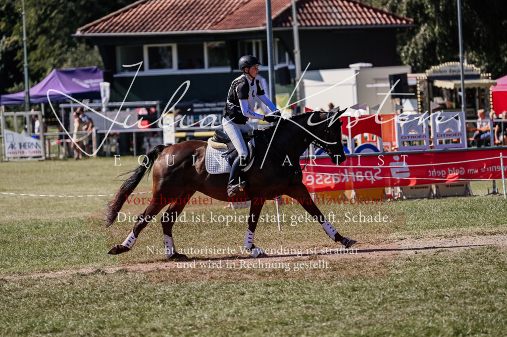 DSC_1454 | Pferde- und Turnierfotografie in Westsachsen. Pferdeportraits, Auftragszeichnungen und intuitive Kunst.