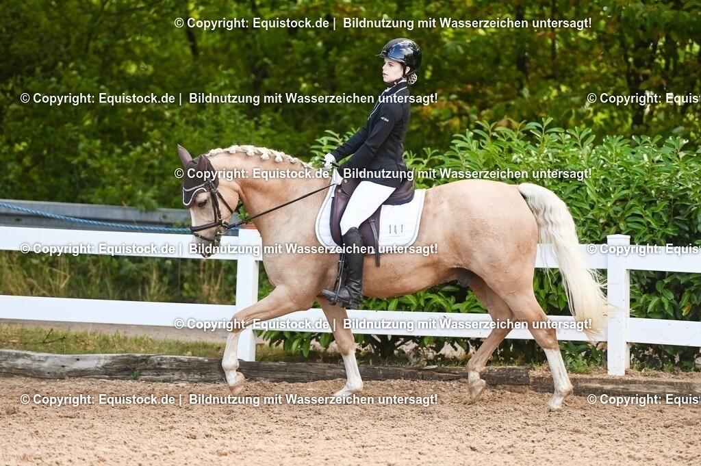 20230716_04_Dressurreiterprüfung Kl.A_0389 | equistock