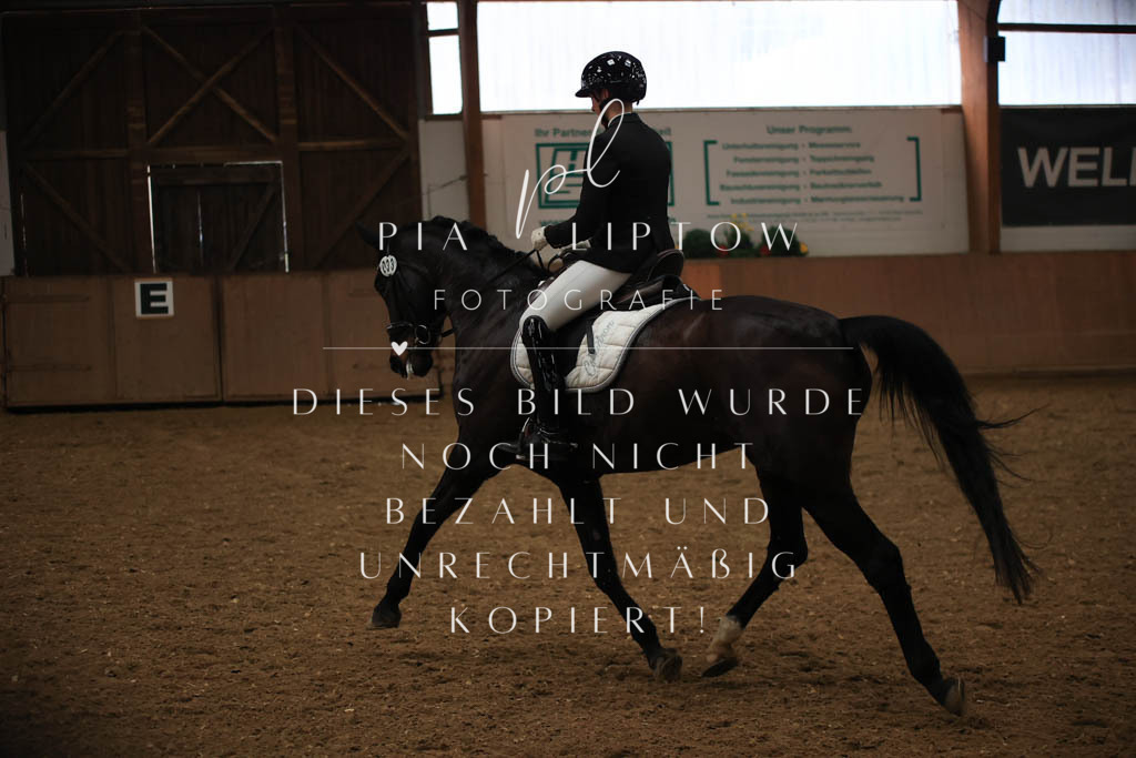 IMGT9093 | pl-fotografie