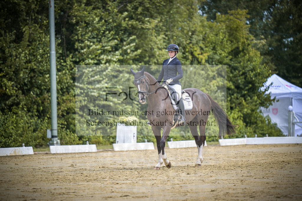 DOS_1553 | Entdecke hochwertige Reitturnierfotos von Foto Oger. Professionell, emotional und authentisch – jetzt Lieblingsmomente im Shop bestellen.Deutschlandweite Turnierfotografie. - Realisiert mit Pictrs.com