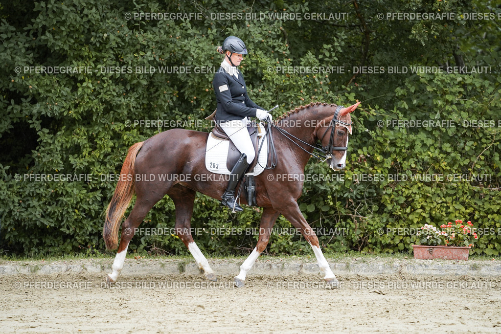 DSC09792 | Pferdegrafie