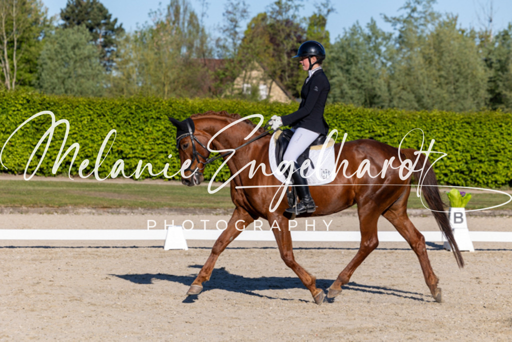 7I8A8444 | melanie-engelhardt-photography - Realisiert mit Pictrs.com