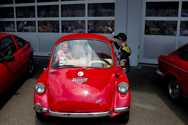 Calag_Oldtimer2025-15 | Ich fotografiere Hundeausstellungen, Sportanlässe, Zuchtstätten, Hundezucht, Hundeportrait, Lagotto - Realisiert mit Pictrs.com
