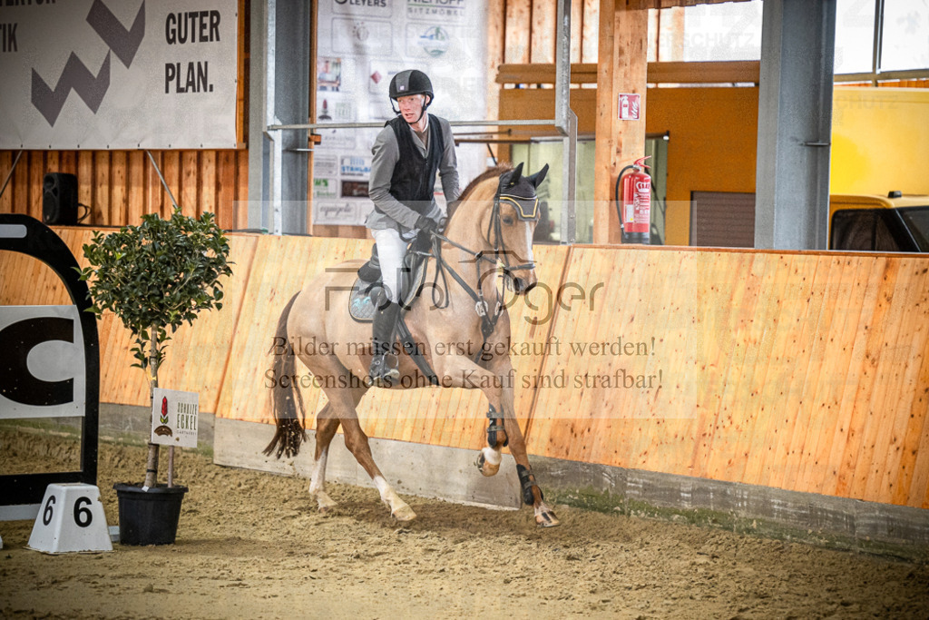 DOS_0667 | Entdecke hochwertige Reitturnierfotos von Foto Oger. Professionell, emotional und authentisch – jetzt Lieblingsmomente im Shop bestellen.Deutschlandweite Turnierfotografie. - Realisiert mit Pictrs.com