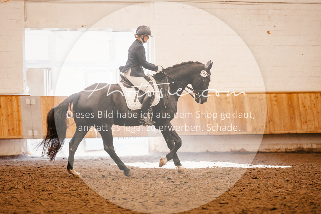 3I6A2279 | Stimmungsvolle Portraits und Reitsportfotografie im Ruhrgebiet und im Münsterland.

Pferdefotografie, Hundefotografie, Tierfotografie, Reportagen, Portraits von Tier und Mensch, Turnierfotografie in Bochum, Recklinghausen, Marl, Haltern am See, Dülmen.. - Realisiert mit Pictrs.com